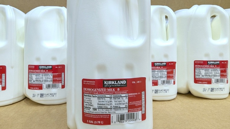 Close-up of Kirkland Signature milk jug with rows of more jugs behind it