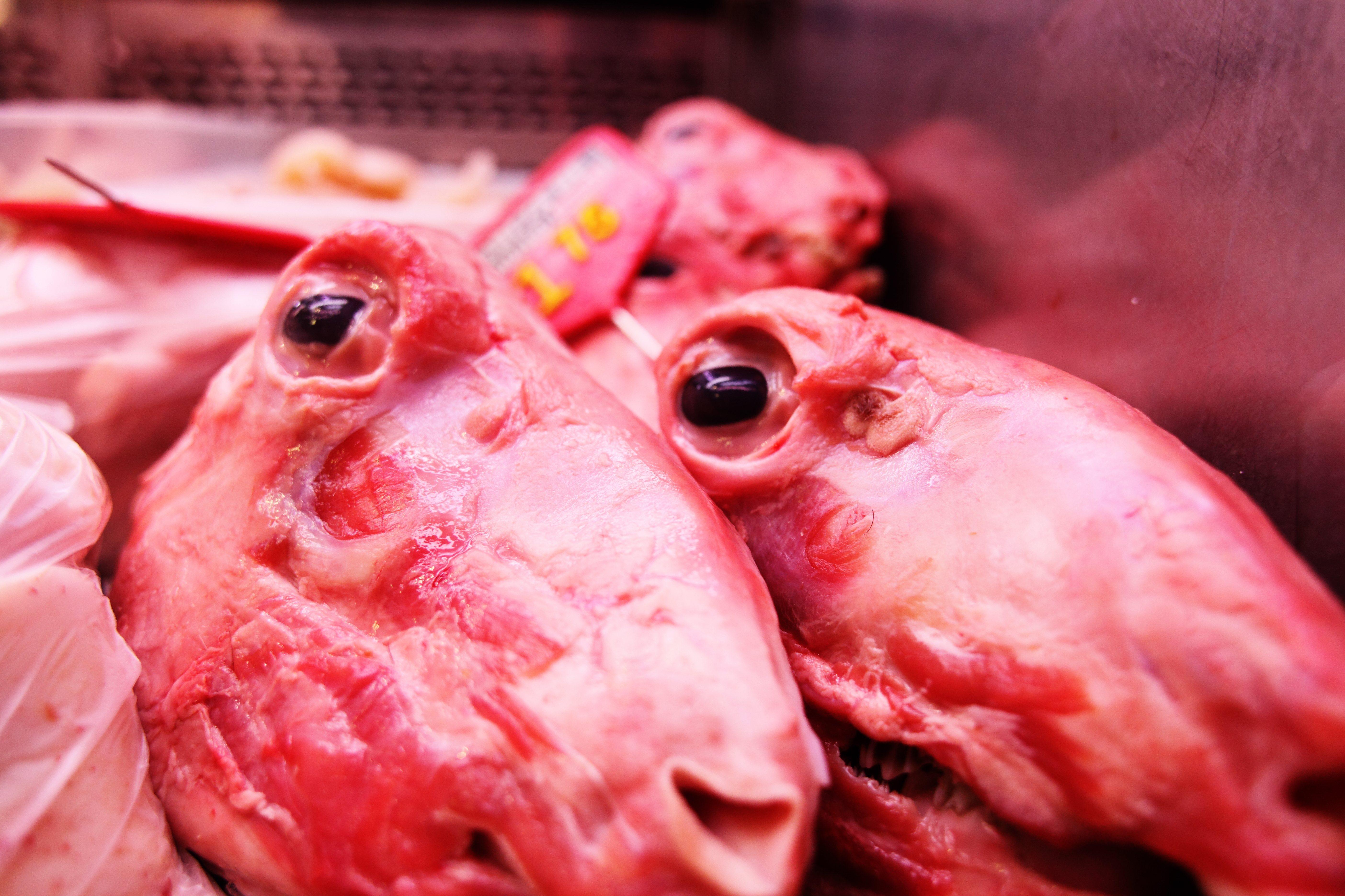 Whole Sheep's Head from Gross or Great? 27 Unexpected 