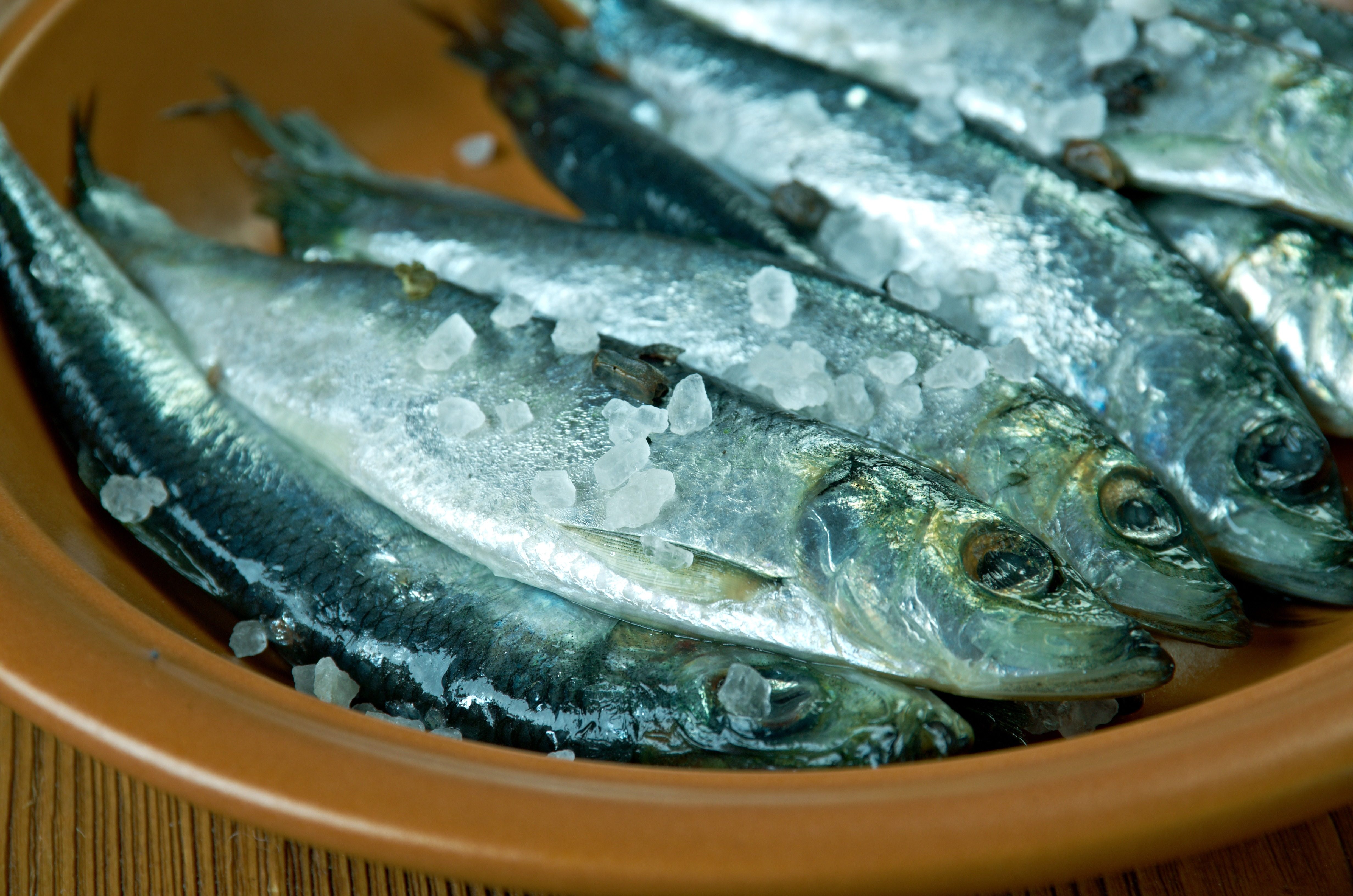 Surströmming from Gross or Great? 27 Unexpected Delicacies from Around