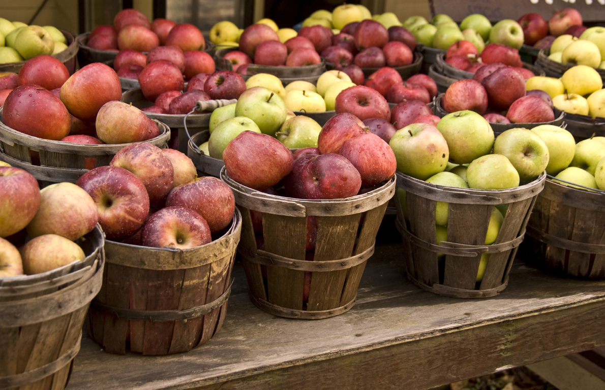 Worst Apples from The 20 Best and Worst Things We Ever Got When Trick