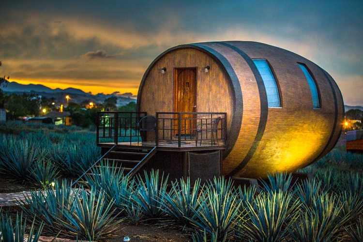 This Mexican Hotel on an Agave Farm Lets You Sleep Inside a Giant