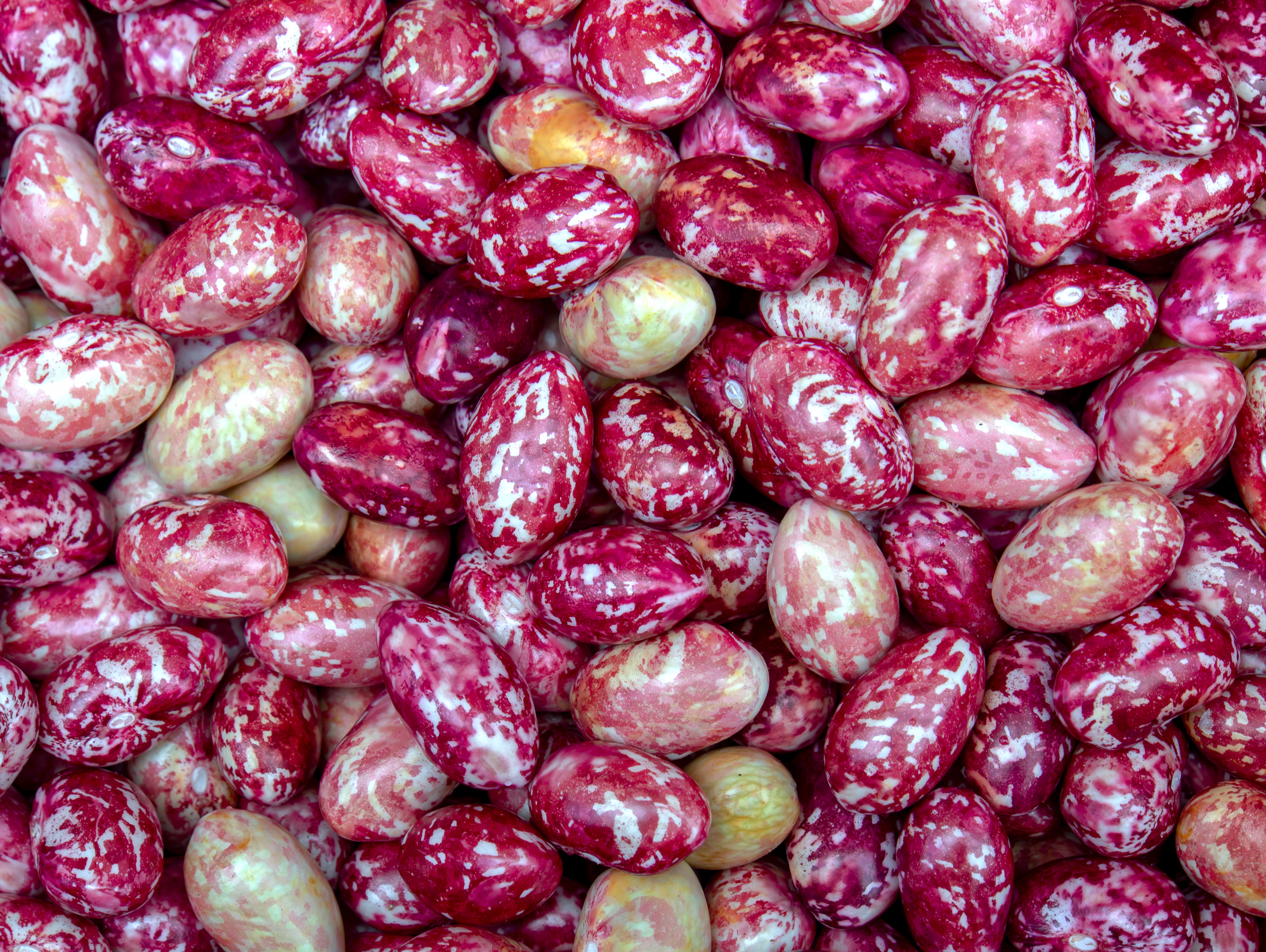 Borlotti/Cranberry Beans from Here's Your Guide to Every ...