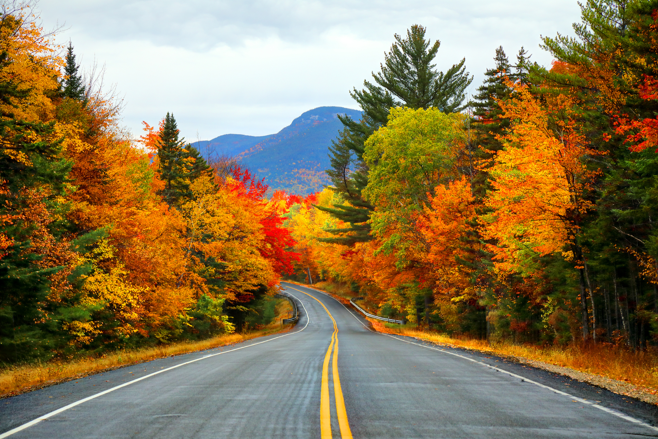 Why Fall Is the Only Worthwhile Season