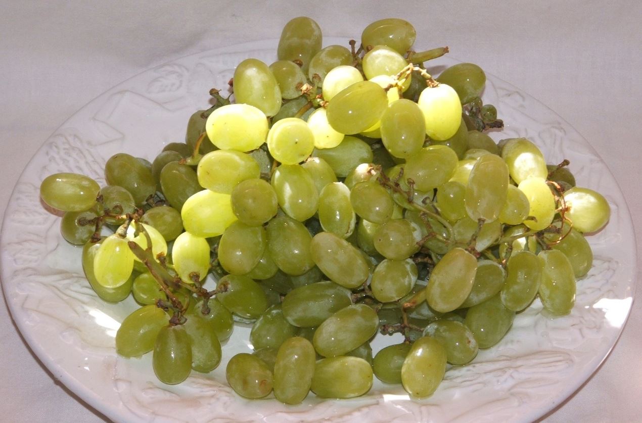 Shocker Golden Raisins Are Made From the Same Grape Variety as Purple Ones